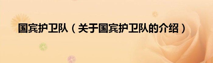 国宾护卫队（关于国宾护卫队的介绍）