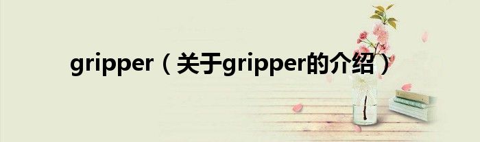 gripper（关于gripper的介绍）