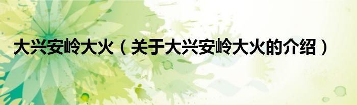 大兴安岭大火（关于大兴安岭大火的介绍）
