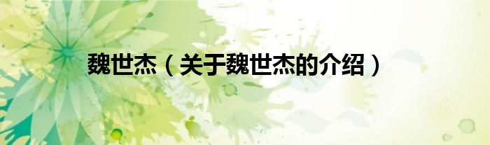 魏世杰（关于魏世杰的介绍）