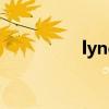 lync（关于lync的介绍）