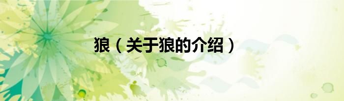 狼（关于狼的介绍）