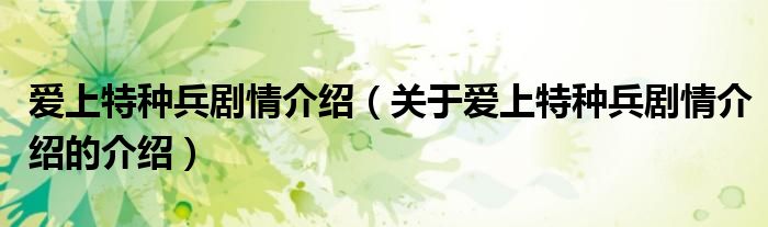 爱上特种兵剧情介绍（关于爱上特种兵剧情介绍的介绍）