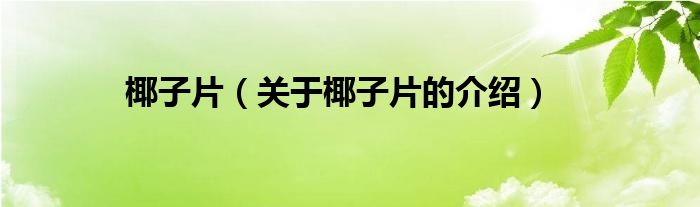 椰子片（关于椰子片的介绍）