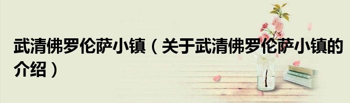 武清佛罗伦萨小镇（关于武清佛罗伦萨小镇的介绍）