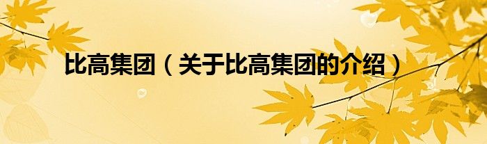 比高集团（关于比高集团的介绍）