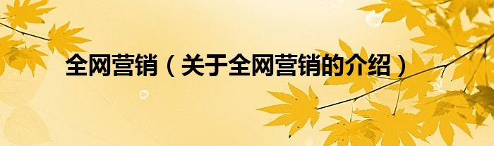 全网营销（关于全网营销的介绍）