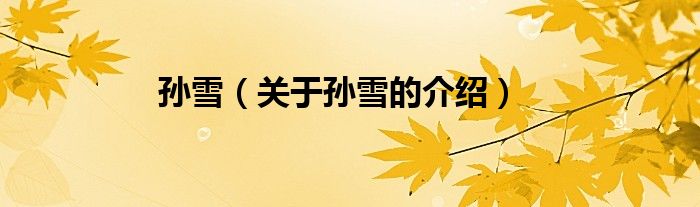 孙雪（关于孙雪的介绍）