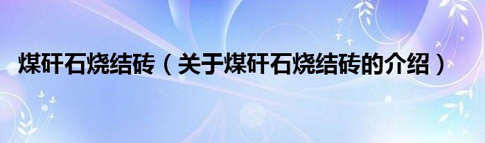 煤矸石烧结砖（关于煤矸石烧结砖的介绍）