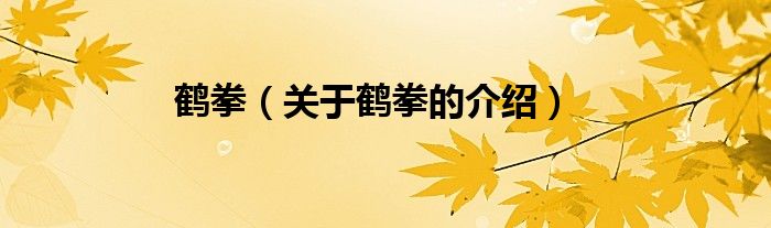 鹤拳（关于鹤拳的介绍）