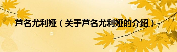 芦名尤利娅（关于芦名尤利娅的介绍）