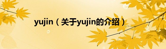 yujin（关于yujin的介绍）