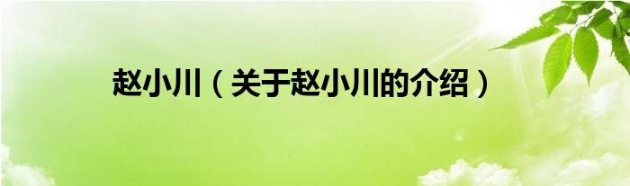 赵小川（关于赵小川的介绍）