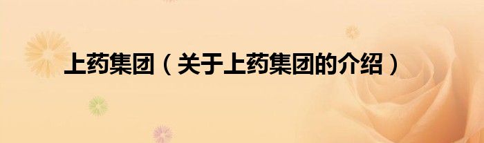 上药集团（关于上药集团的介绍）