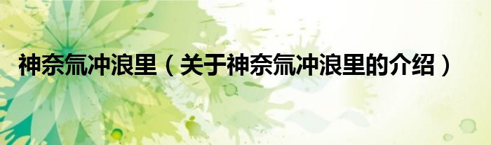 神奈氚冲浪里（关于神奈氚冲浪里的介绍）