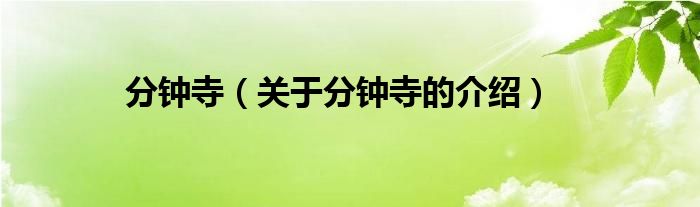 分钟寺（关于分钟寺的介绍）