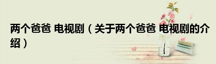 两个爸爸 电视剧（关于两个爸爸 电视剧的介绍）