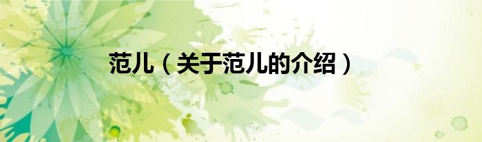 范儿（关于范儿的介绍）