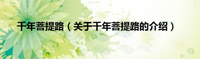 千年菩提路（关于千年菩提路的介绍）