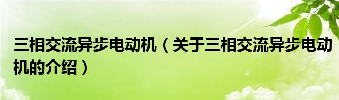 三相交流异步电动机（关于三相交流异步电动机的介绍）