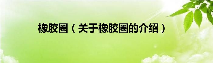 橡胶圈（关于橡胶圈的介绍）