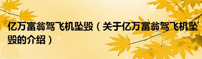 亿万富翁驾飞机坠毁（关于亿万富翁驾飞机坠毁的介绍）