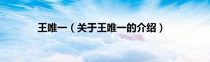 王唯一（关于王唯一的介绍）