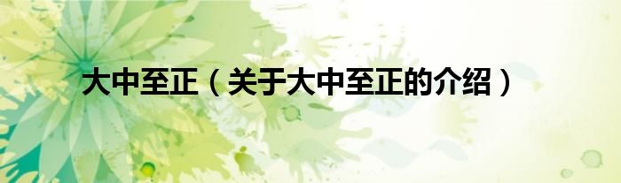 大中至正（关于大中至正的介绍）