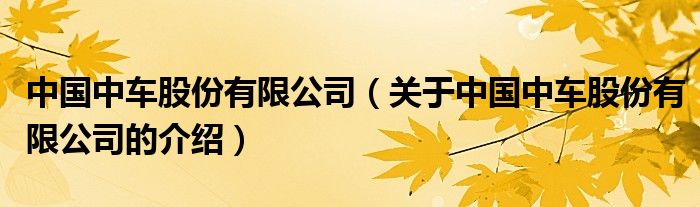 中国中车股份有限公司（关于中国中车股份有限公司的介绍）