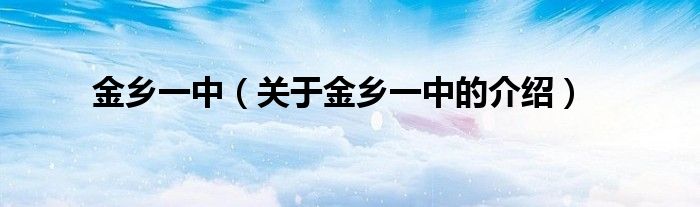 金乡一中（关于金乡一中的介绍）