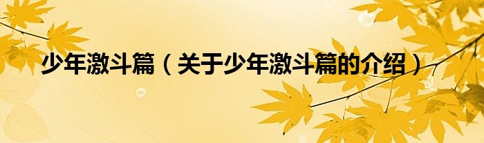 少年激斗篇（关于少年激斗篇的介绍）