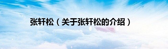 张轩松（关于张轩松的介绍）