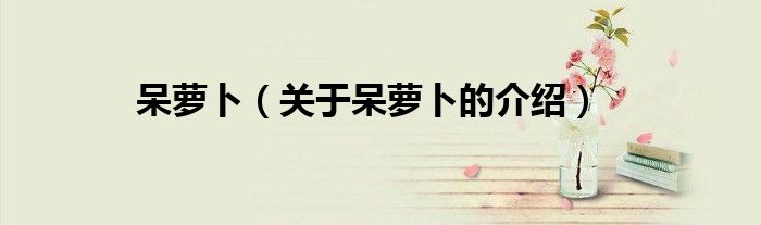 呆萝卜（关于呆萝卜的介绍）