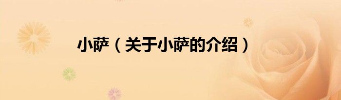 小萨（关于小萨的介绍）
