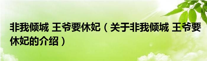 非我倾城 王爷要休妃（关于非我倾城 王爷要休妃的介绍）