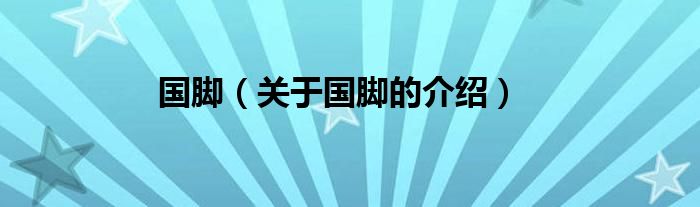 国脚（关于国脚的介绍）