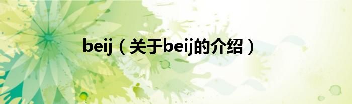 beij（关于beij的介绍）