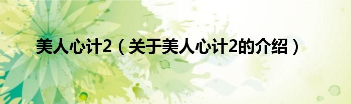 美人心计2（关于美人心计2的介绍）