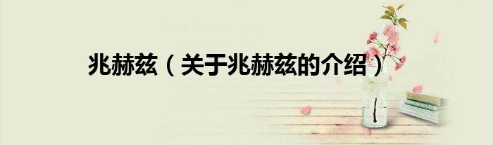 兆赫兹（关于兆赫兹的介绍）