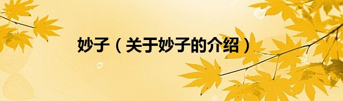 妙子（关于妙子的介绍）