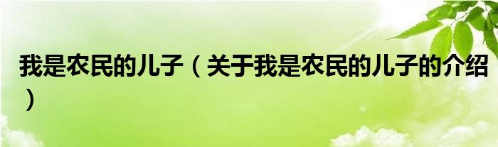我是农民的儿子（关于我是农民的儿子的介绍）