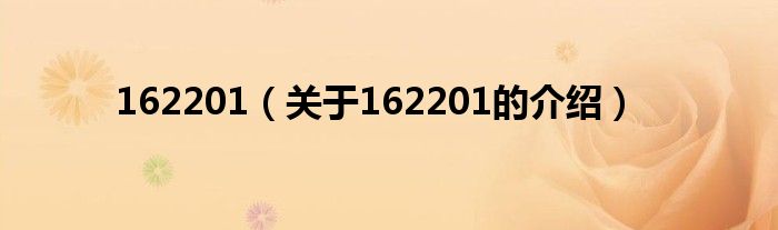 162201（关于162201的介绍）