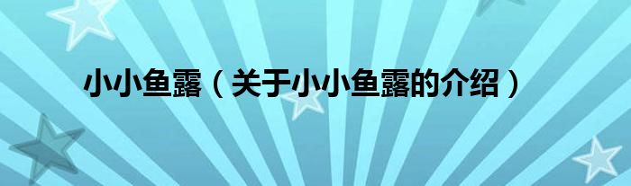 小小鱼露（关于小小鱼露的介绍）
