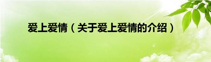爱上爱情（关于爱上爱情的介绍）