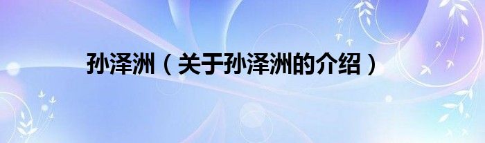 孙泽洲（关于孙泽洲的介绍）