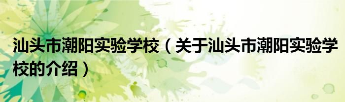 汕头市潮阳实验学校（关于汕头市潮阳实验学校的介绍）