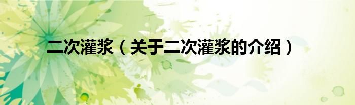二次灌浆（关于二次灌浆的介绍）