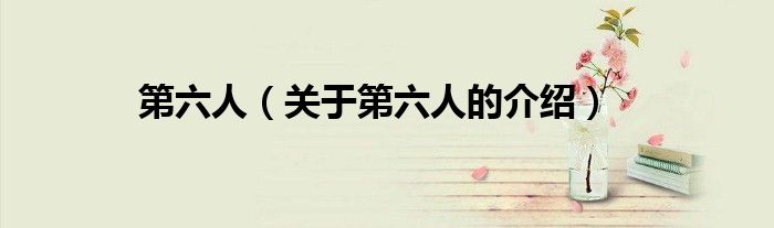 第六人（关于第六人的介绍）