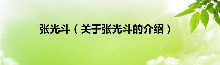 张光斗（关于张光斗的介绍）