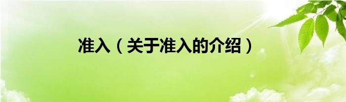 准入（关于准入的介绍）
